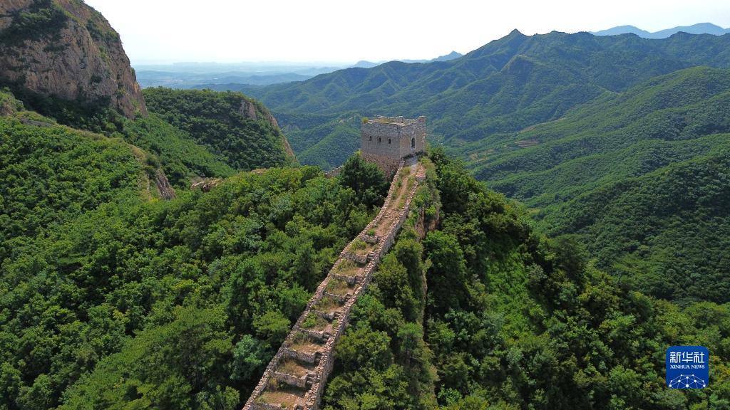手机网投网站